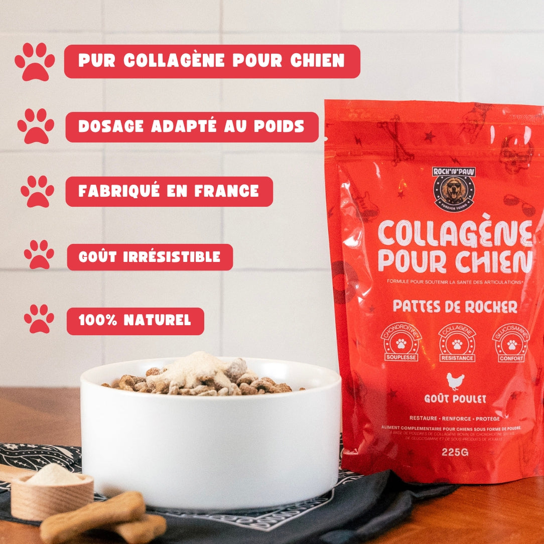 DogArtix® : Collagène articulaire haute concentration