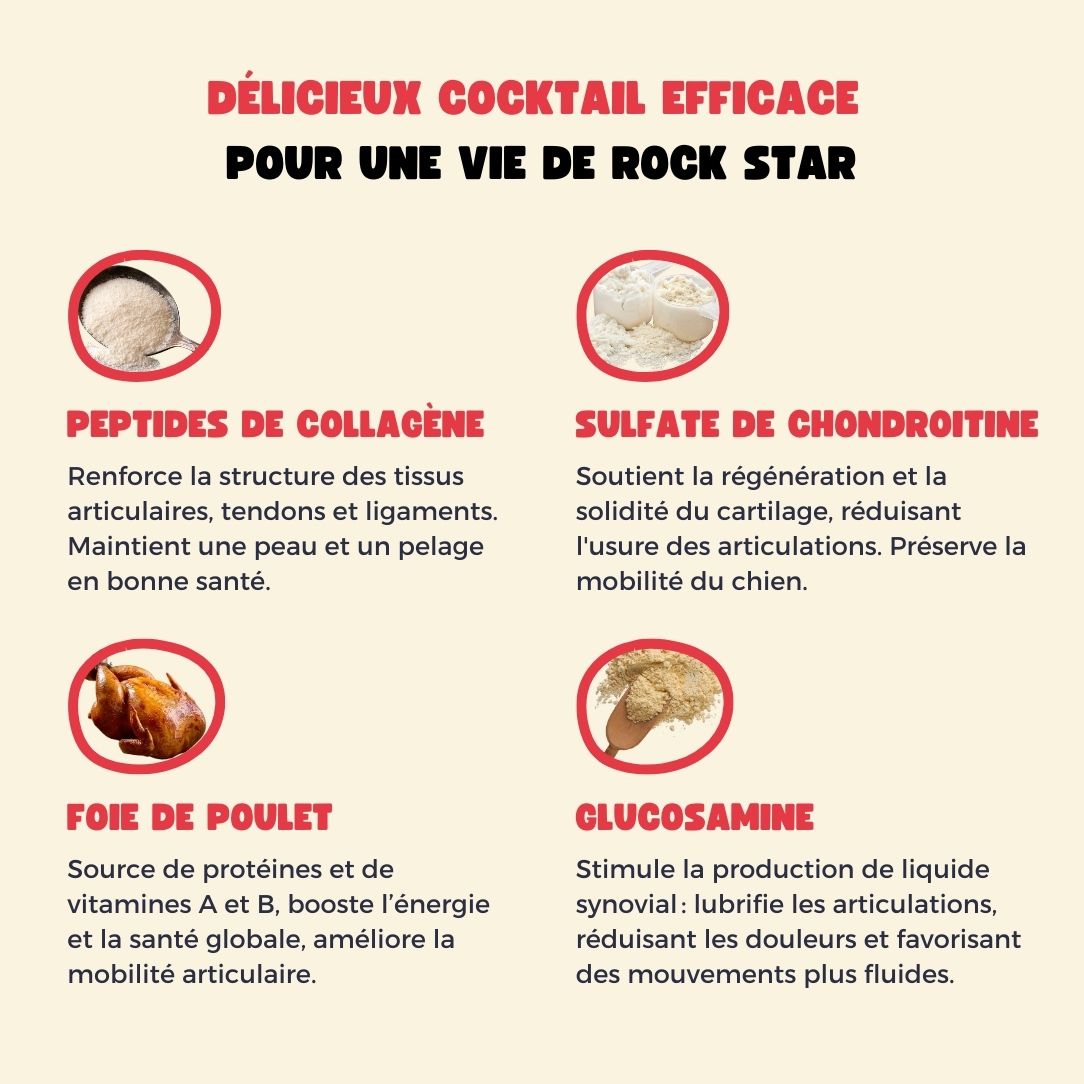 Collagène pour Chien